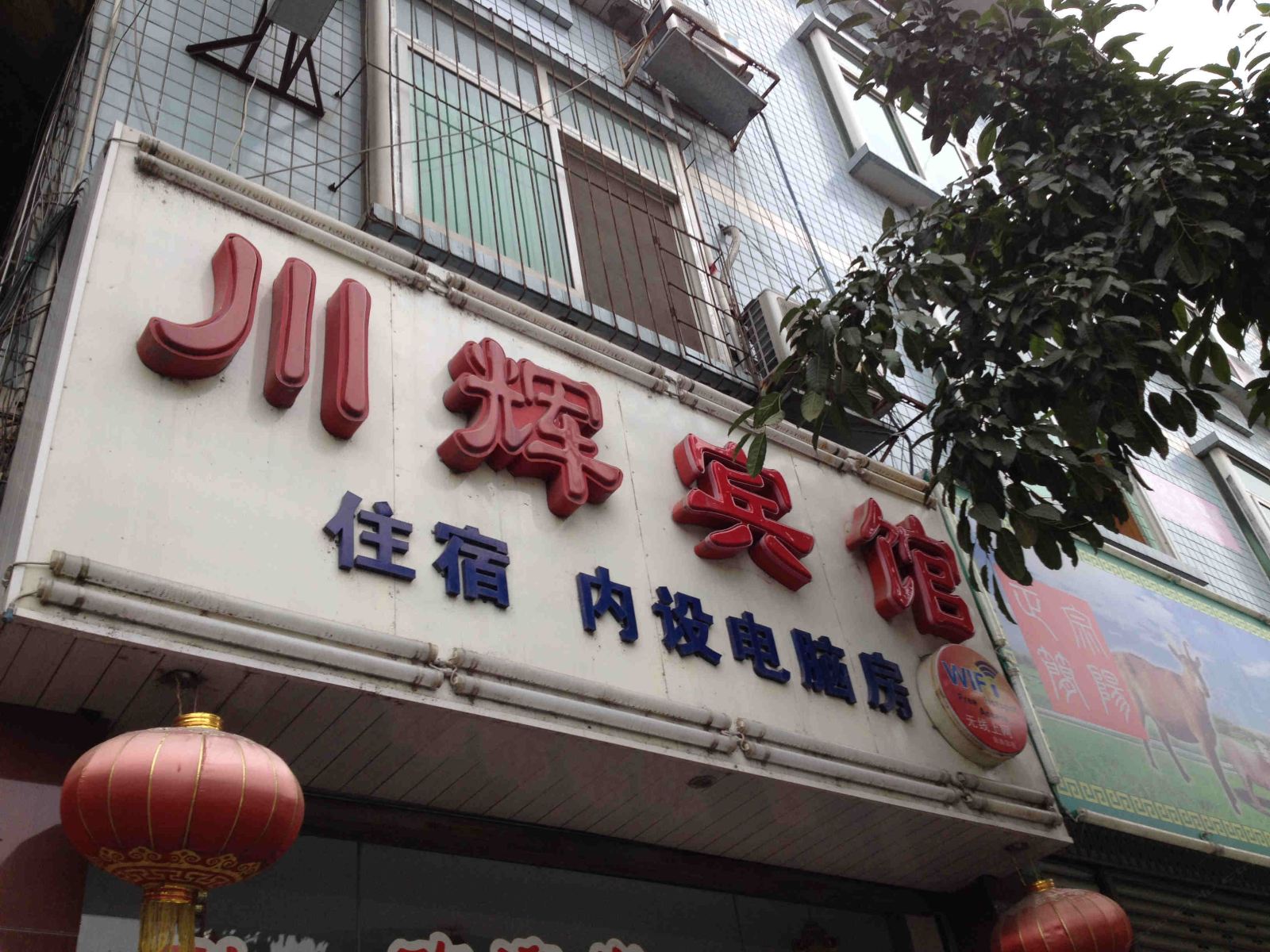 外观