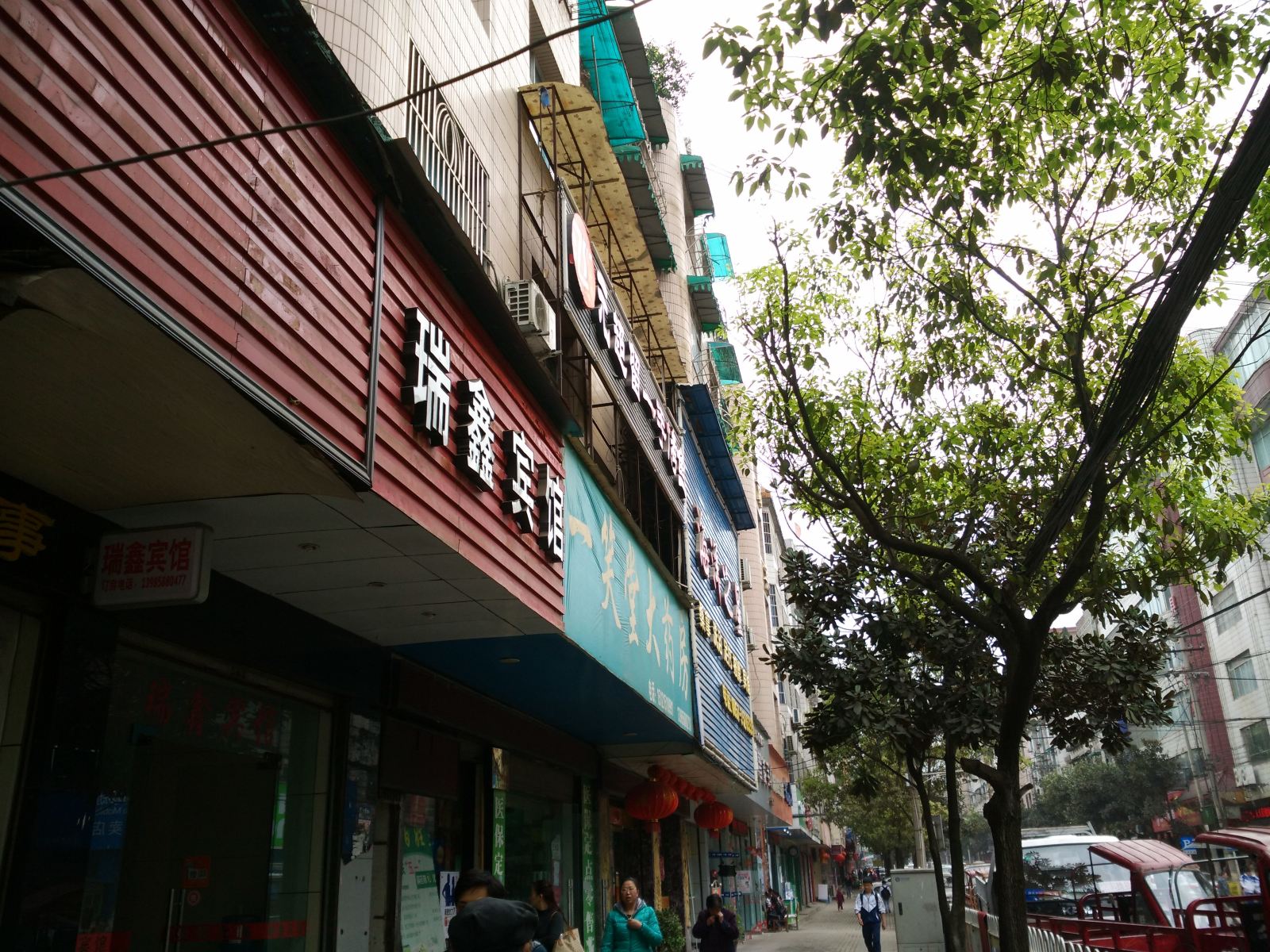 外观