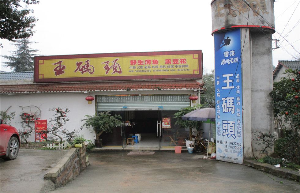 蒲江朝阳湖王码头农家乐