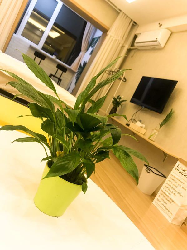 温馨大床房