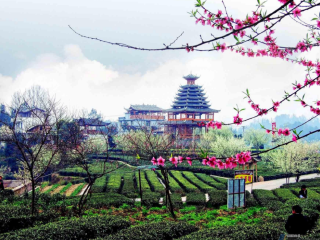 報(bào)團(tuán)去湖北多少錢_去湖北游要多少錢_湖北旅游費(fèi)用多少