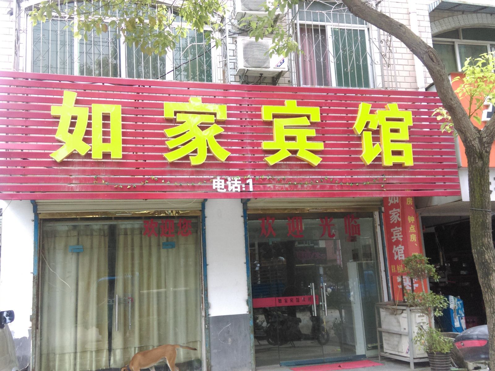 外观