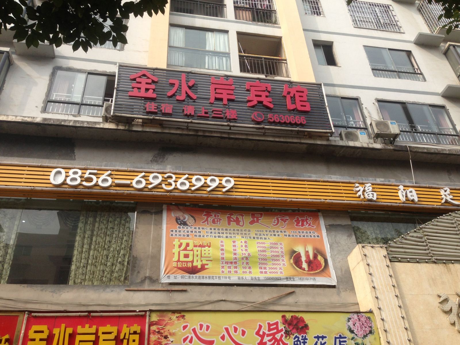 外观