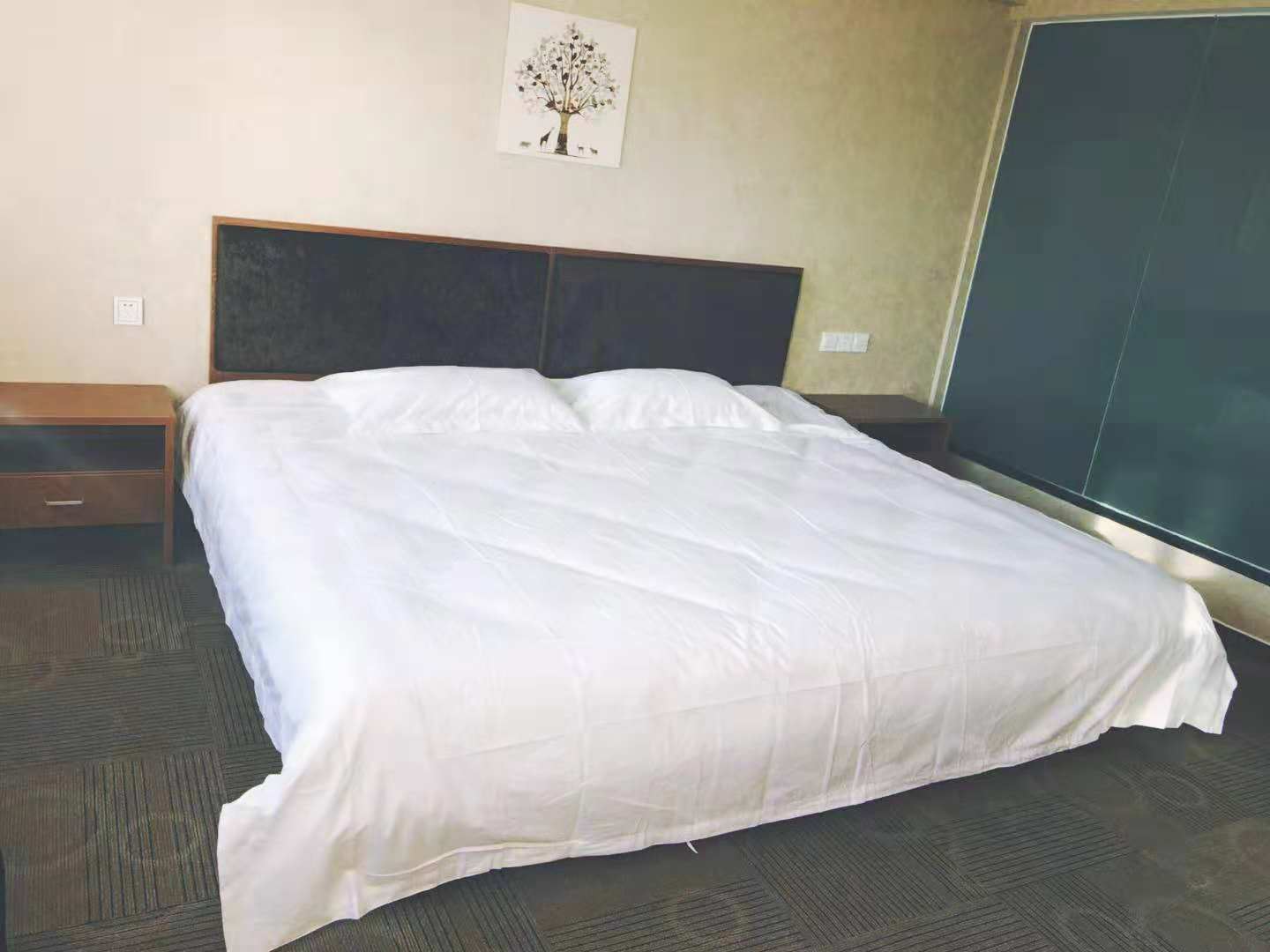 静乾豪华大床房
