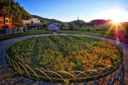 <江西+庐山+景德镇+婺源篁岭5日游>住庐山山上 送漂流，4晚精选酒店，24H接送，纯玩0购物（当地参团）暑期赠送果盘