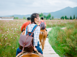 去云南香格里拉旅游_云南香格里拉私人定制旅游_云南香格里拉旅游跟團需多少錢
