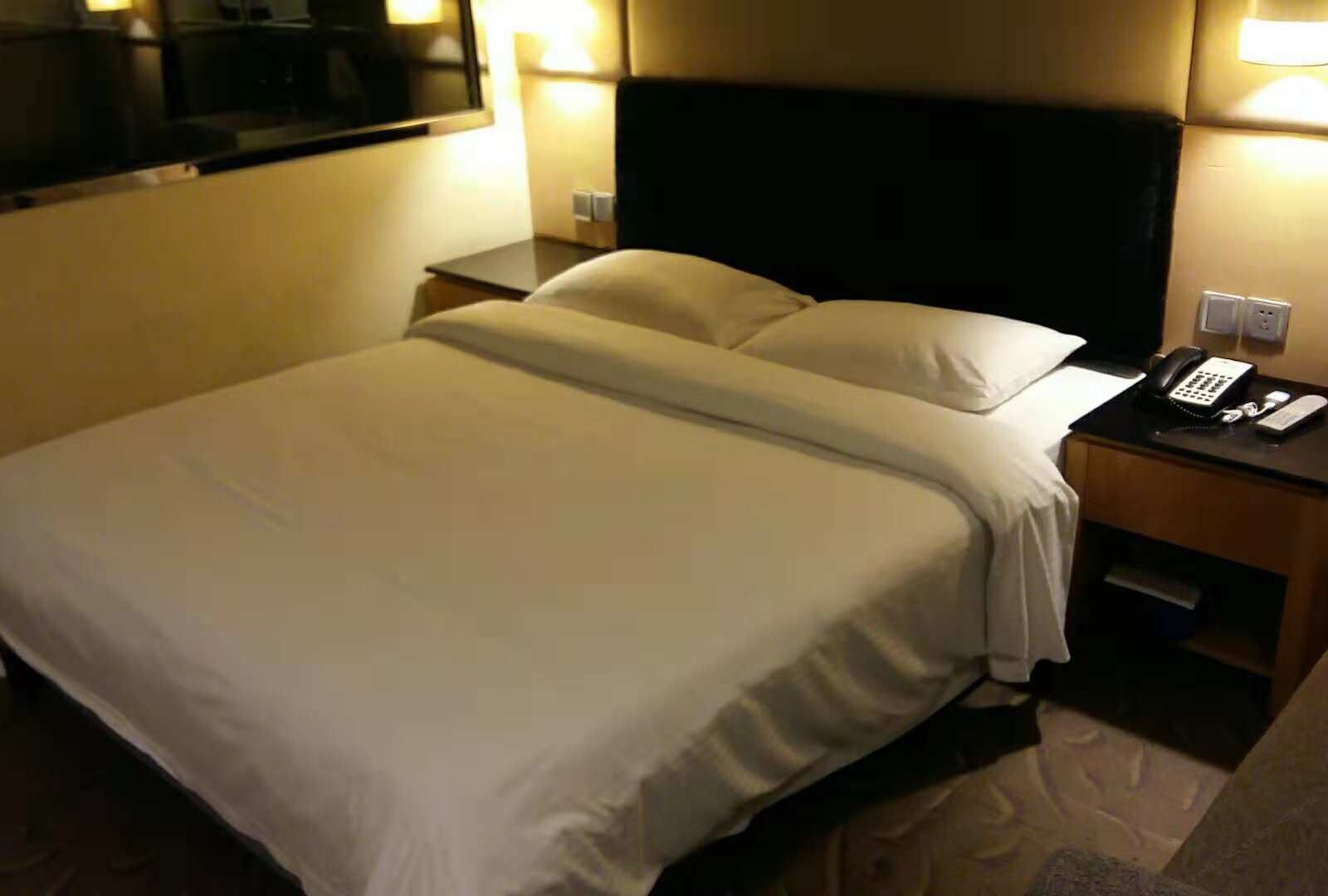 商务标准大床房B (无窗)