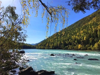 新疆報團(tuán)旅游多少錢_新疆組團(tuán)旅游_暑假新疆游價格