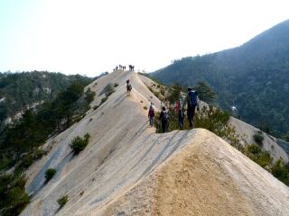 黃山旅游團(tuán)_去黃山游怎么省錢_到黃山旅游多少錢