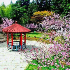 景点模块 