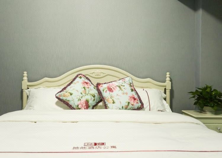 丽致一房一厅