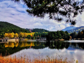 怎么去江西廬山旅游_到江西廬山旅游多少錢_江西廬山報團多少錢