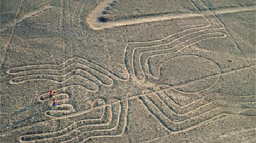 瑙斯巴西亚马孙州19晚23日 必发团\/上海出发\/1