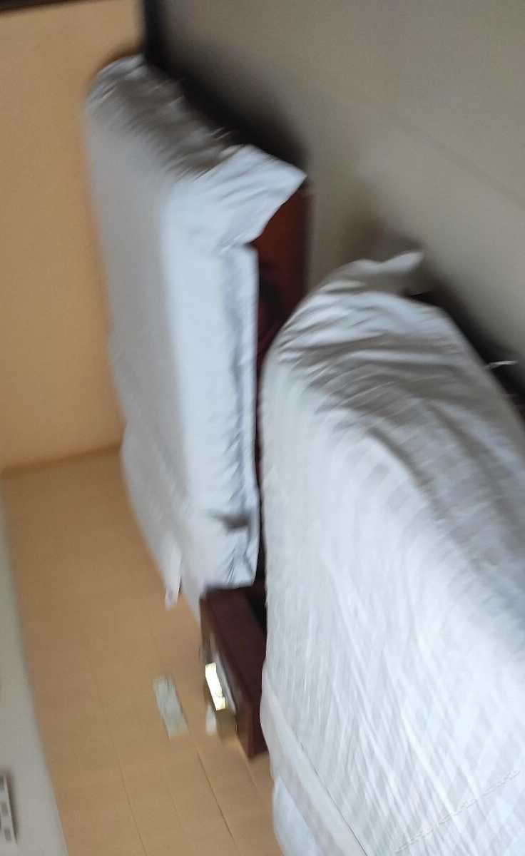 豪华双床房