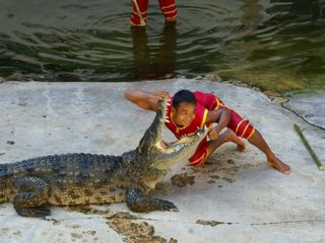 泰国曼谷芭堤雅沙美岛6日游 万人出游,仅1免税