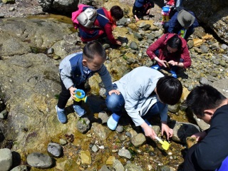 組團(tuán)去大連_大連私人定制旅游_深圳到大連旅游報(bào)價(jià)