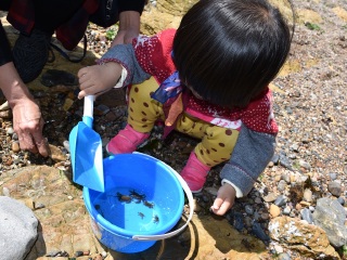 組團(tuán)去大連_大連私人定制旅游_深圳到大連旅游報(bào)價(jià)