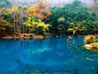 暑假貴州黃果樹游價(jià)格_旅行團(tuán)貴州黃果樹游_貴州黃果樹旅游大概多少錢