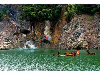 國慶貴州游價(jià)格_貴州最佳旅游路線_貴州旅行團(tuán)