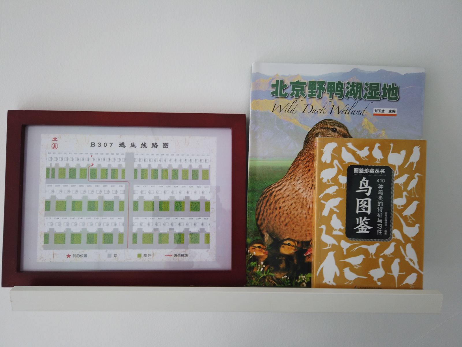 庭院标准间
