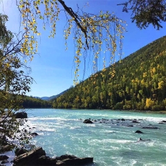 景点模块 
