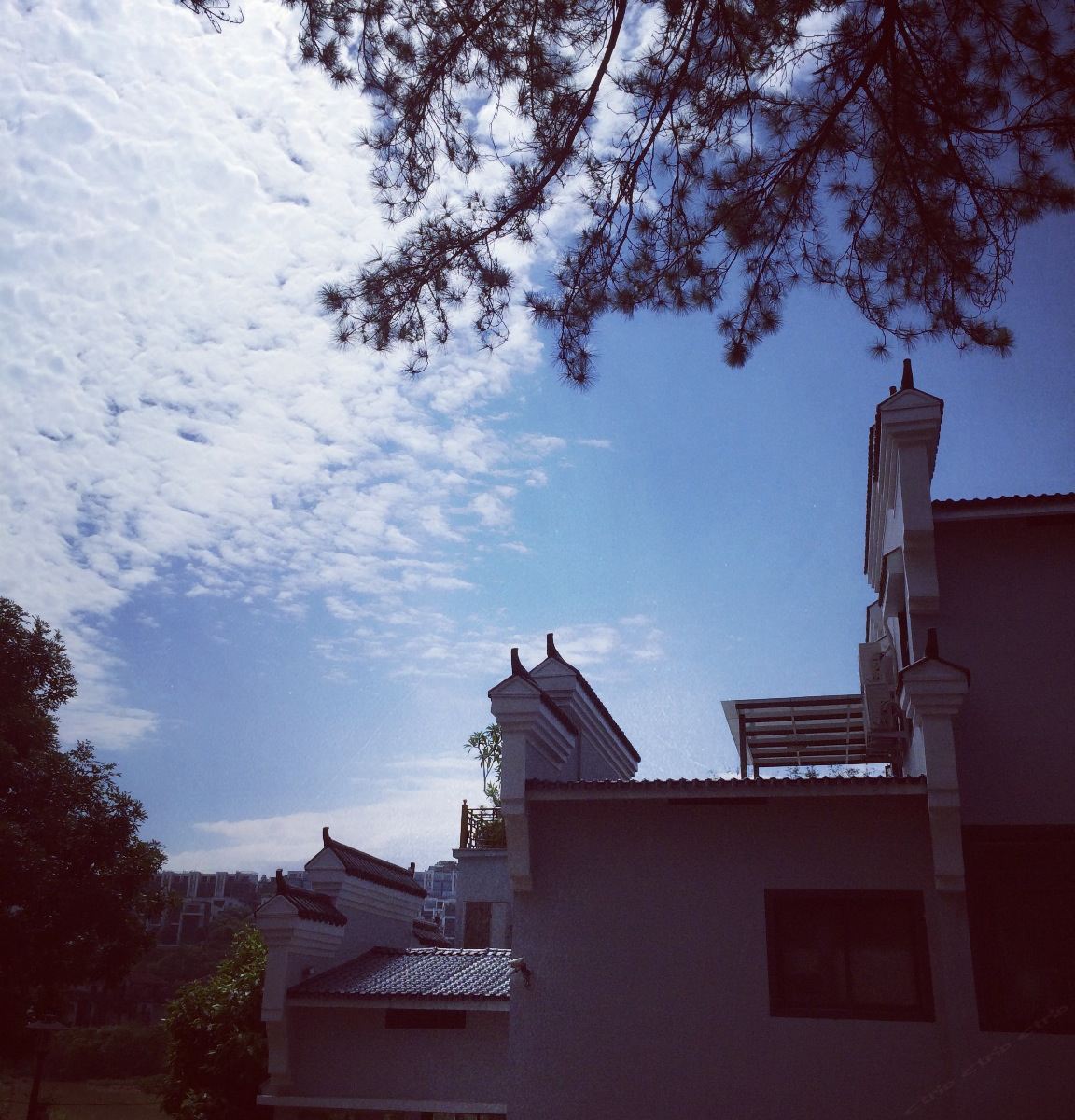 标准双人房