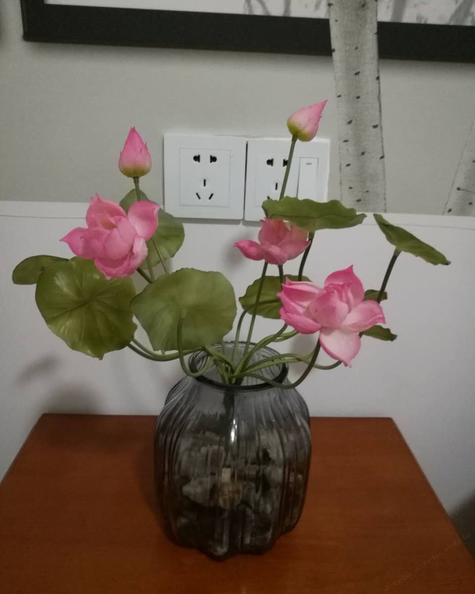 荷花主题双人大床房