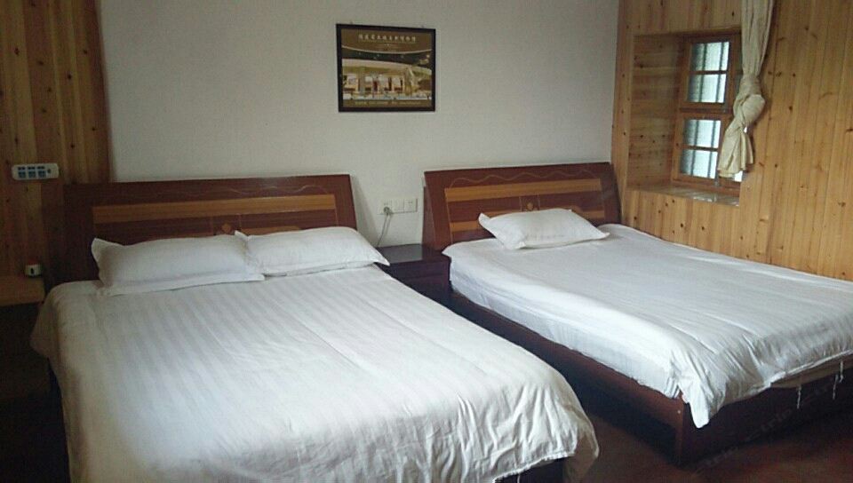 荷花主题双人大床房