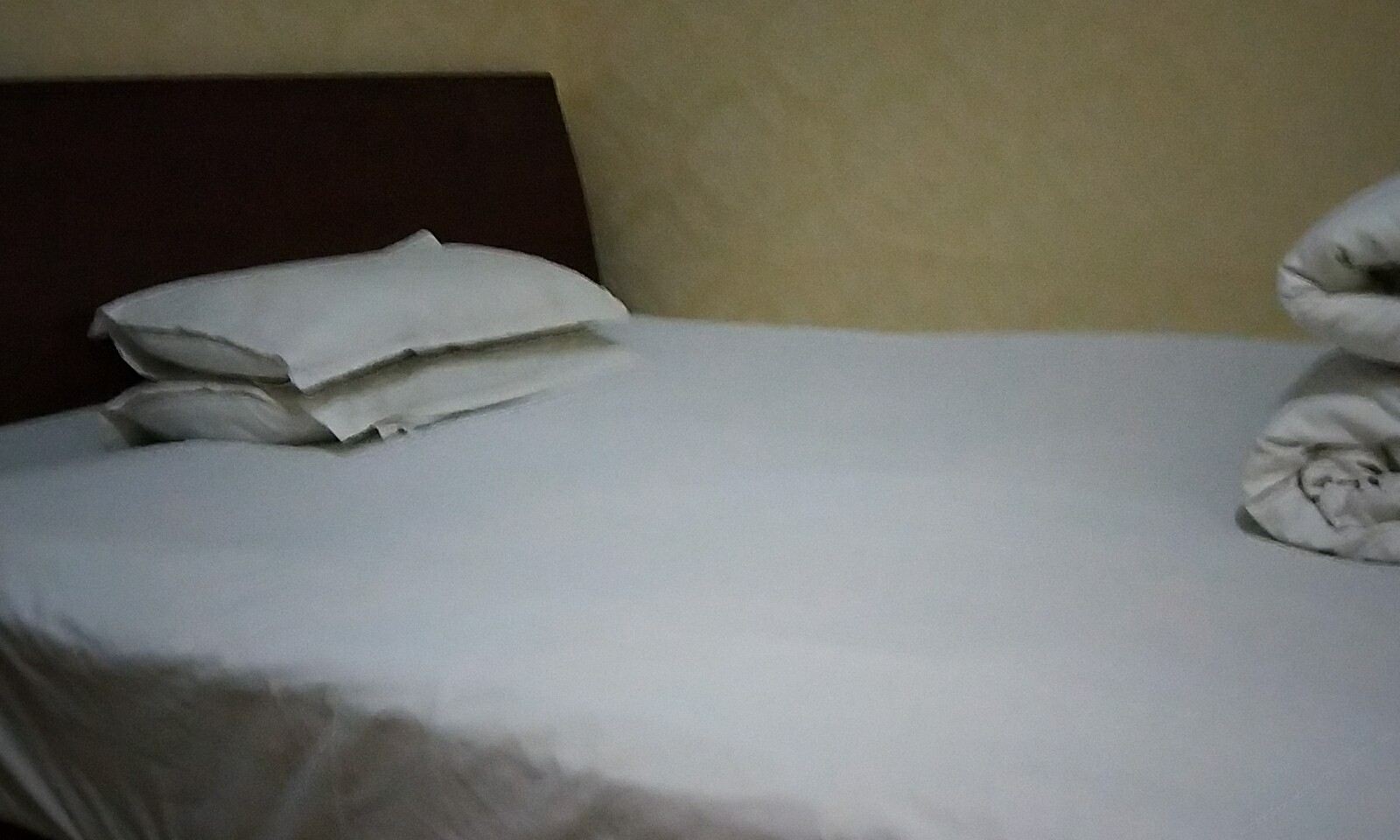 普通大床房