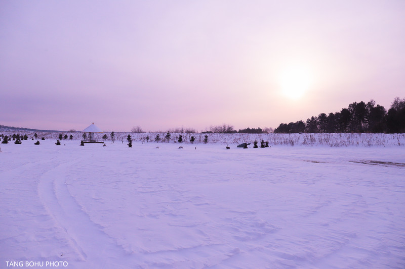 【首发】一路向北,梦幻塔河雪乡,与你邂逅冰雪奇缘的童话世界_塔河县