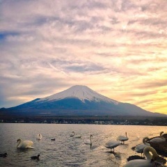 酒店模块 