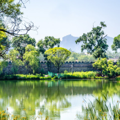景点模块 