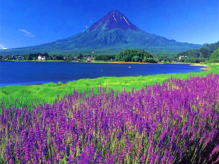 深圳出發(fā)圣誕日本游_日本雙人十日游多少錢_日本10月旅行團(tuán)價(jià)格