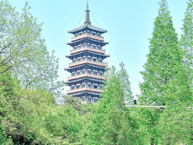 扬州人口特点_扬州炒饭图片(2)