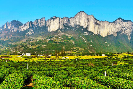 景点模块 