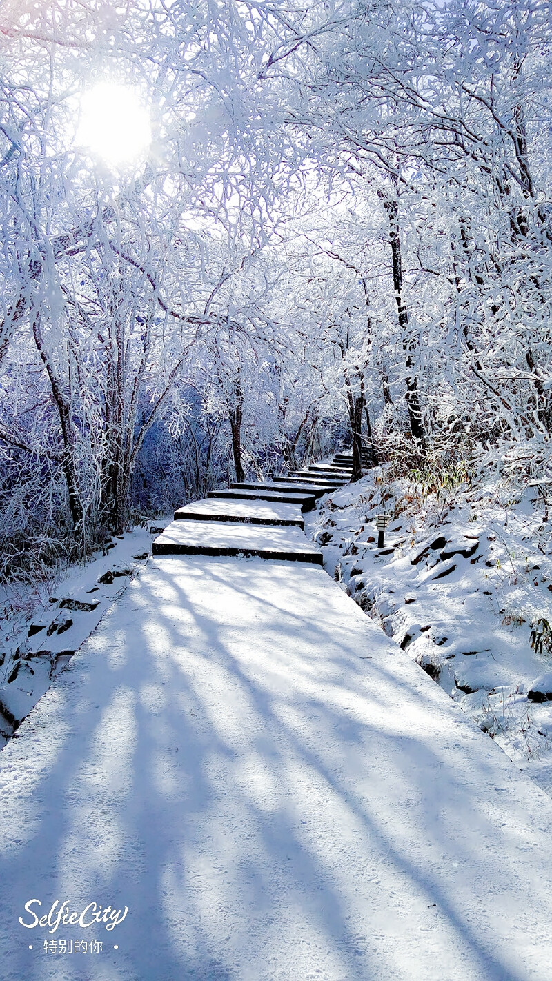 【途牛首发】冬季来黄山看雪,才是真正的不虚此行