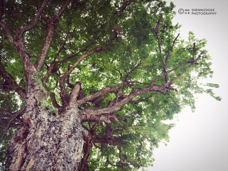 #你好2018#自驾游|马来西亚5天4晚十年归来你