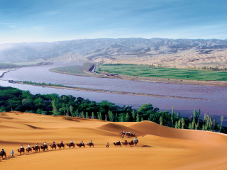 宁夏旅游多少钱跟团费_到宁夏跟团游_宁夏旅行包团