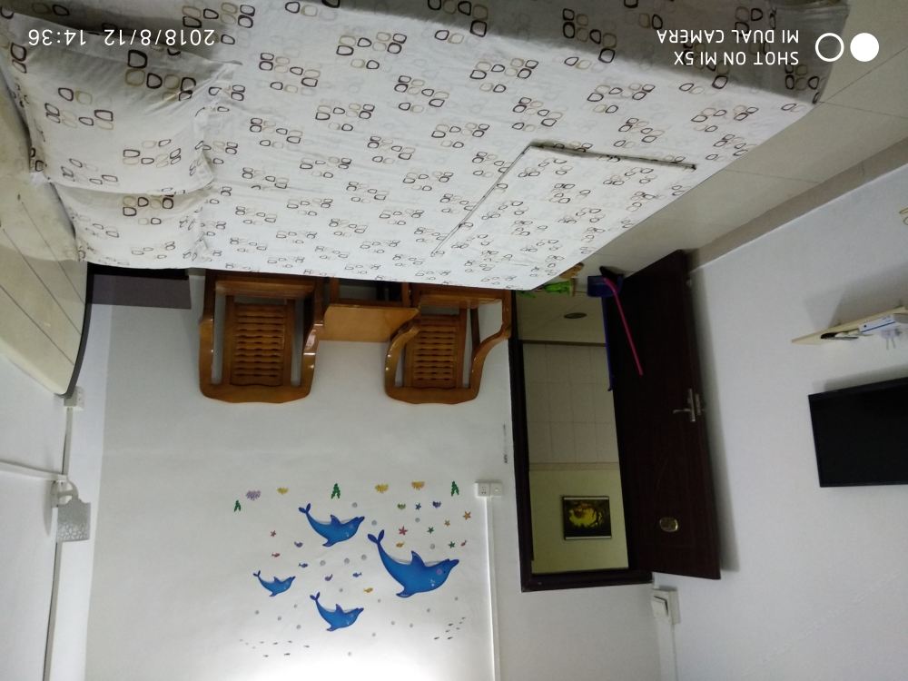 标准大床房