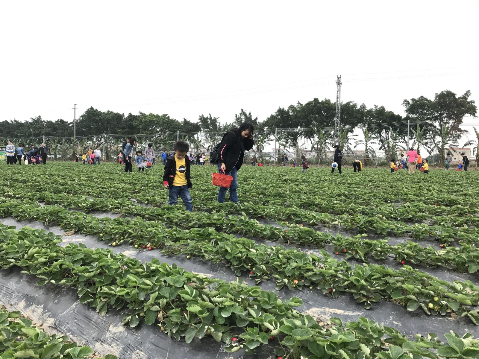 高级大床房