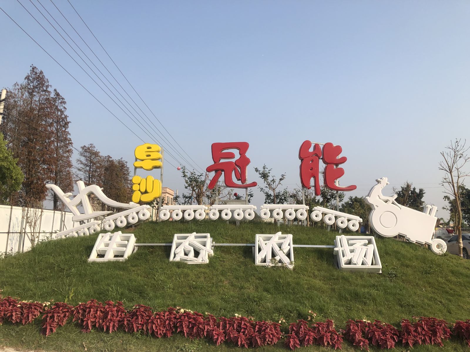 高级大床房