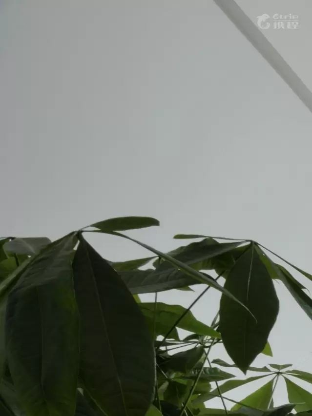 标准大床间