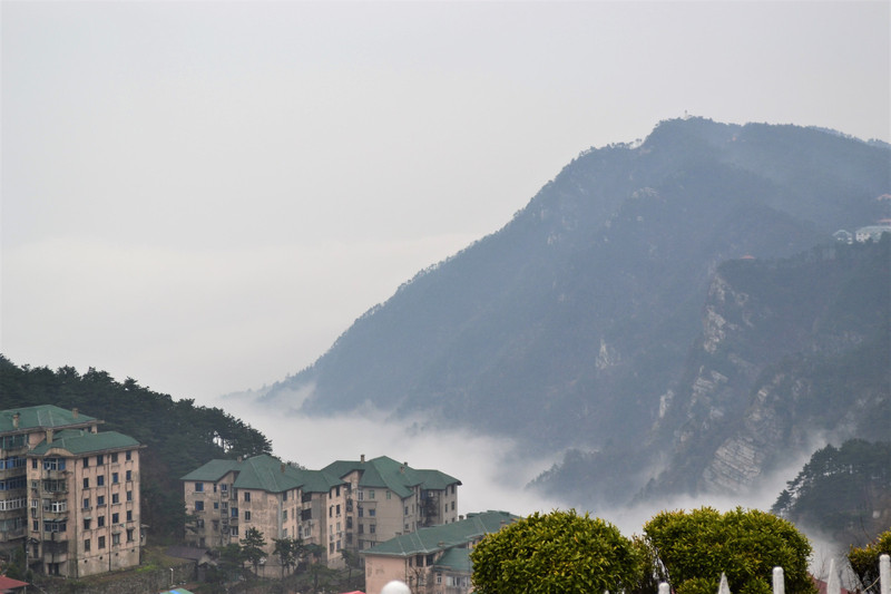 庐山上的牯岭镇是庐山住宿的集中地,高中低档都有,但节假日游玩需要