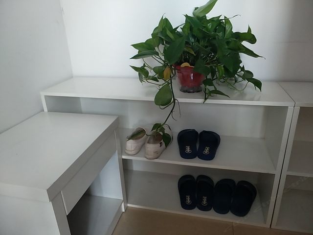 电脑大床房