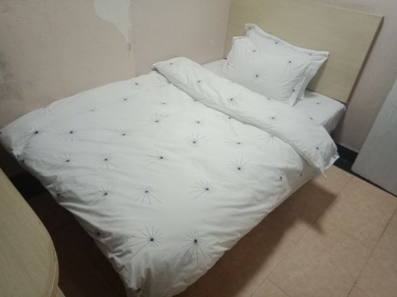 经济房