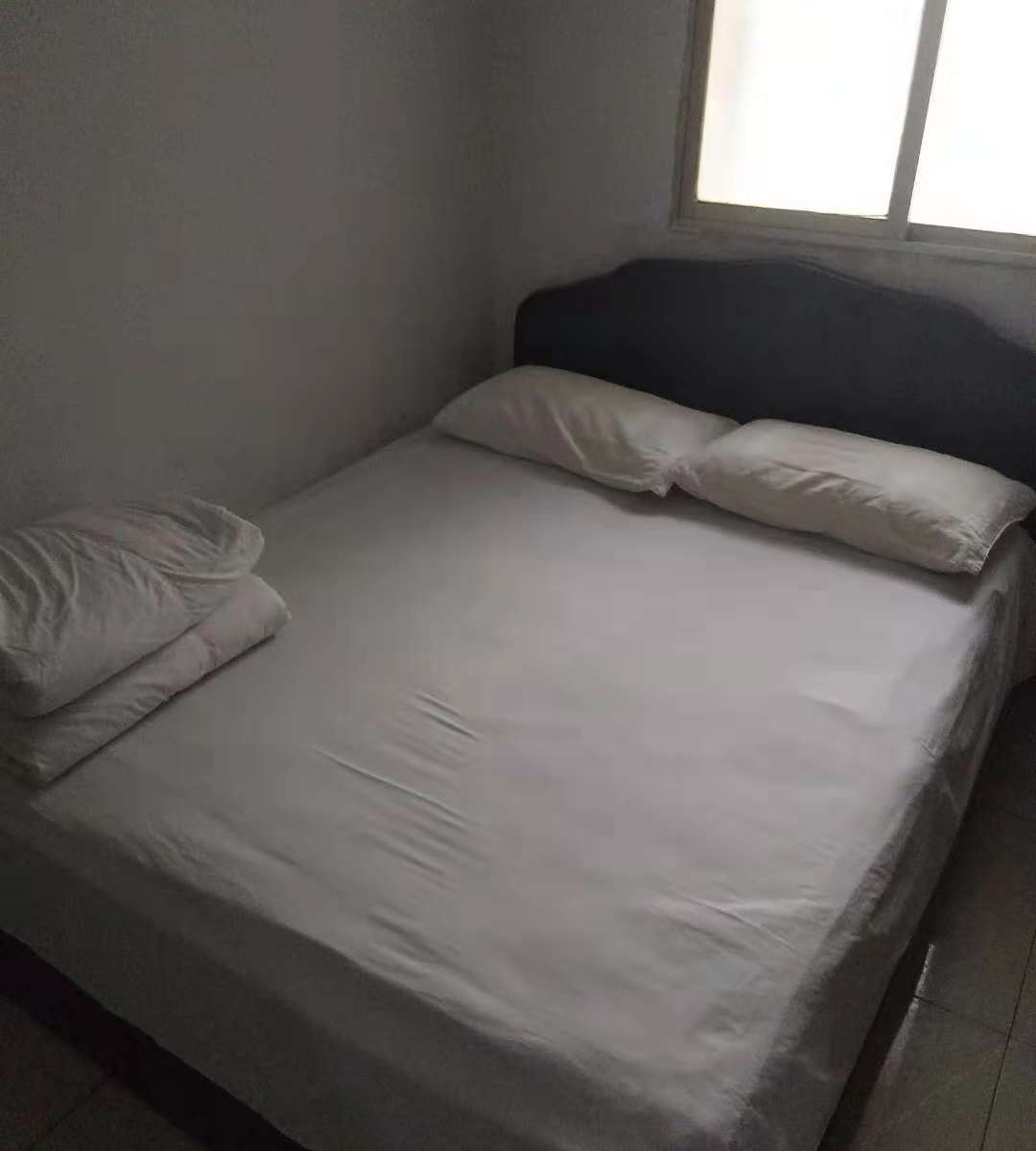 普通大床房