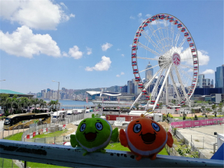 香港旅游六日_六月底去香港旅游_香港游跟團游