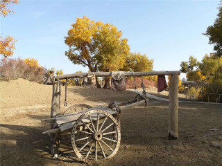 新疆11日游价格_去新疆旅游怎么走_深圳新疆旅游5天