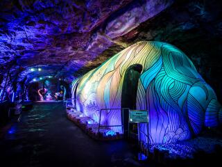 春节前去厦门旅游团_厦门旅游旅行团报价_厦门游跟团