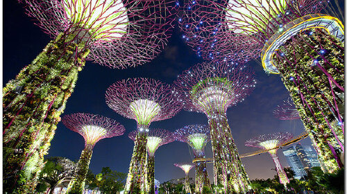 新加坡一地4晚5日游(直飞,0自费0购物,充分自